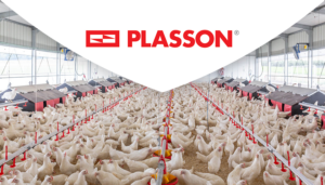 PLASSON | Smarter Feeding Solutions for Every Bird, from Line to Drop