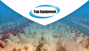 TOP EQUIPMENT | H2H Euthanizer specially designed for turkeys